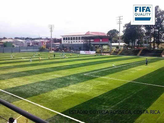 Πιστοποιημένος FIFA Τεχνητός χλοοτάπητας υψηλής πυκνότητας ύψους 55 mm για γήπεδα ποδοσφαίρου με χαμηλή συντήρηση