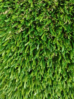 Χλωρίδιο και χλωρίδιο