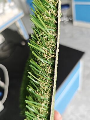 Χλωρίδιο και χλωρίδιο