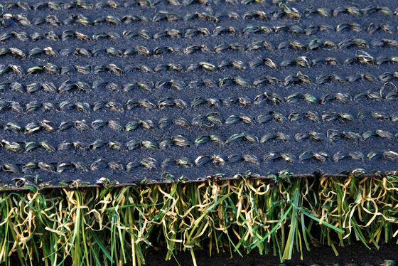 12000 Dtex High Durability Landscape Artificial Grass for Outdoor Use and Wholesale Distribution
