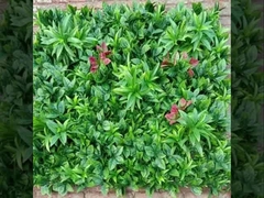 2025 Νέος προμηθευτής γρασίδι τοίχου Taishan