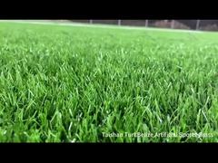 Νέο έργο Taishan Belize Τεχνητός αθλητικός χλοοτάπητας