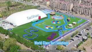 Εισαγωγή του Taishan Sports Industry Group